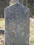image of grave number 295402